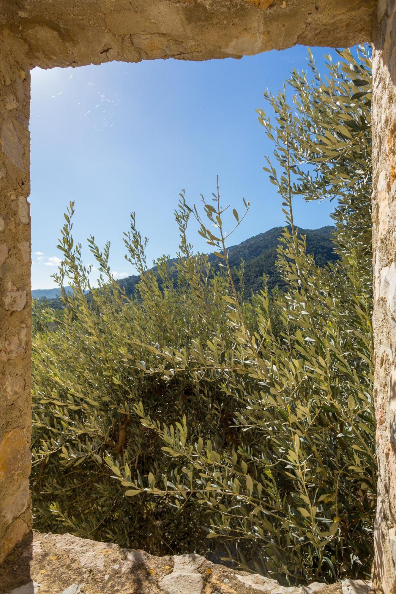 Finca Es Castell Binibona Zewnętrze zdjęcie