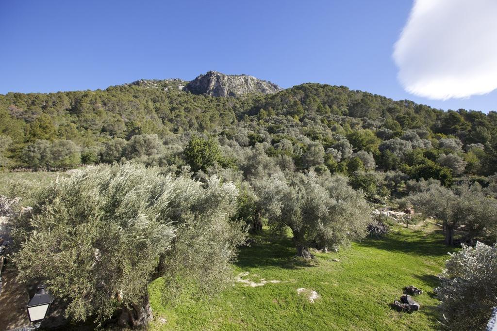Finca Es Castell Binibona Zewnętrze zdjęcie